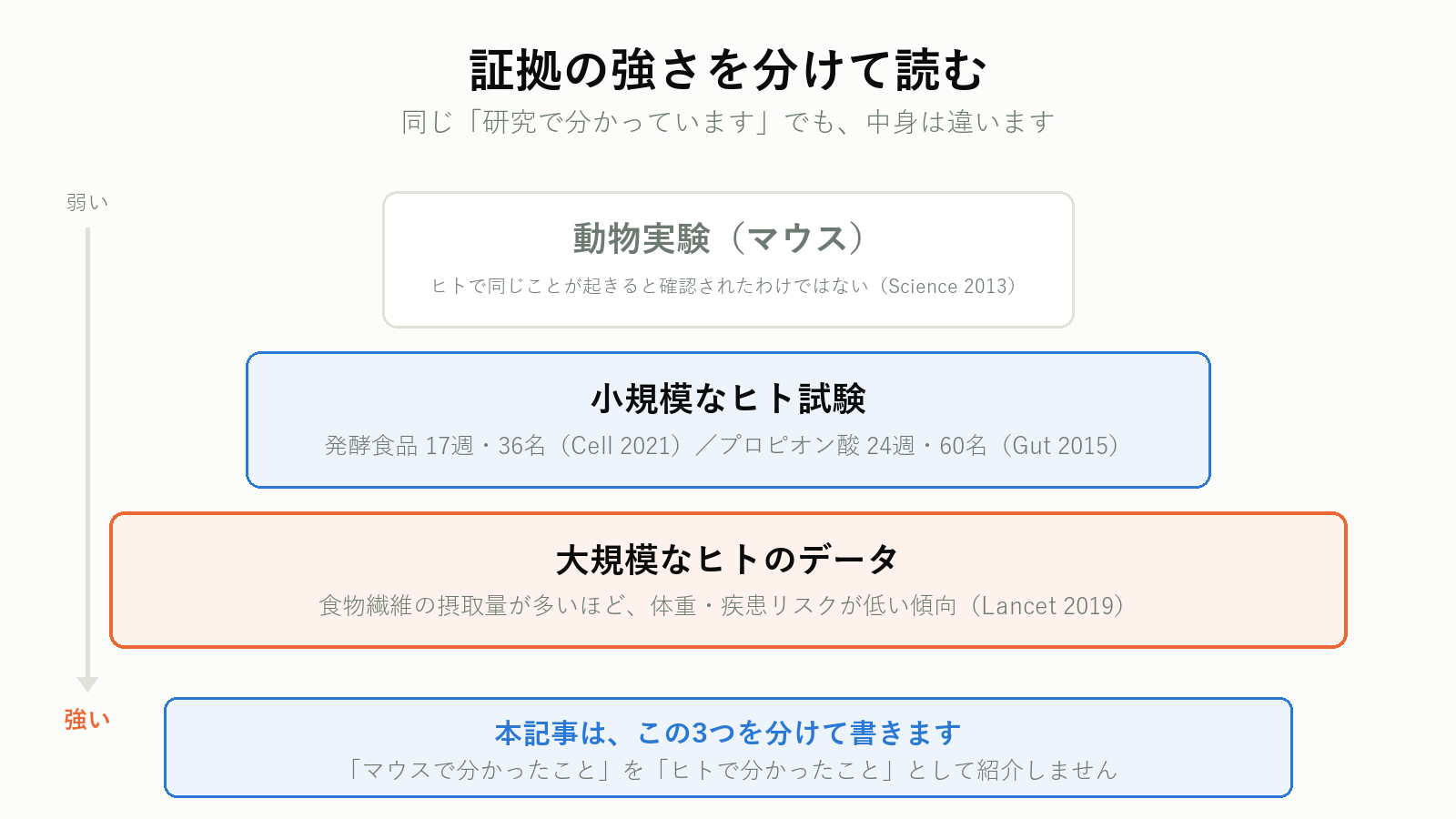 腸活とダイエットに関する研究の証拠の強さの違い