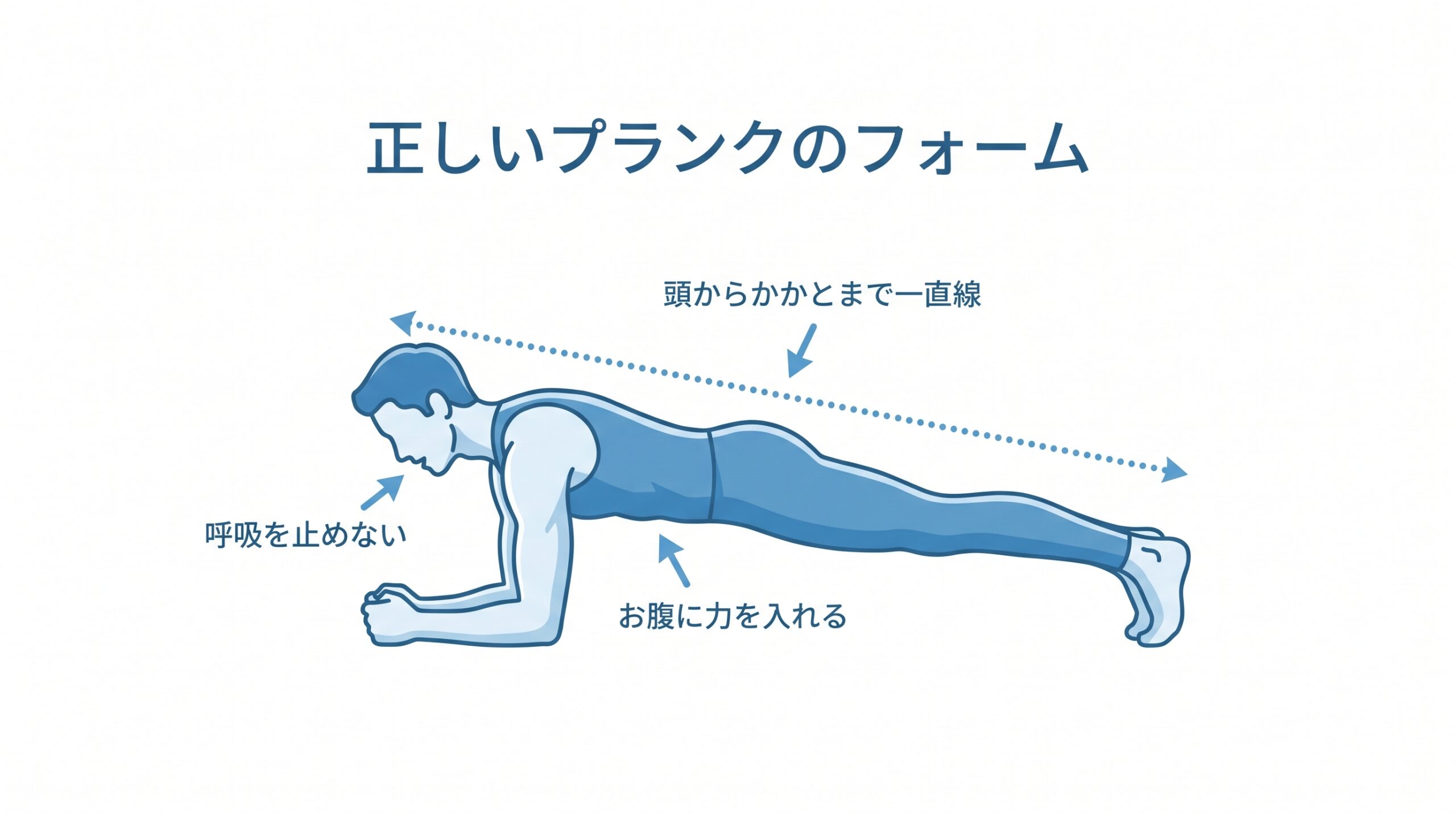 正しいプランクのフォーム図解