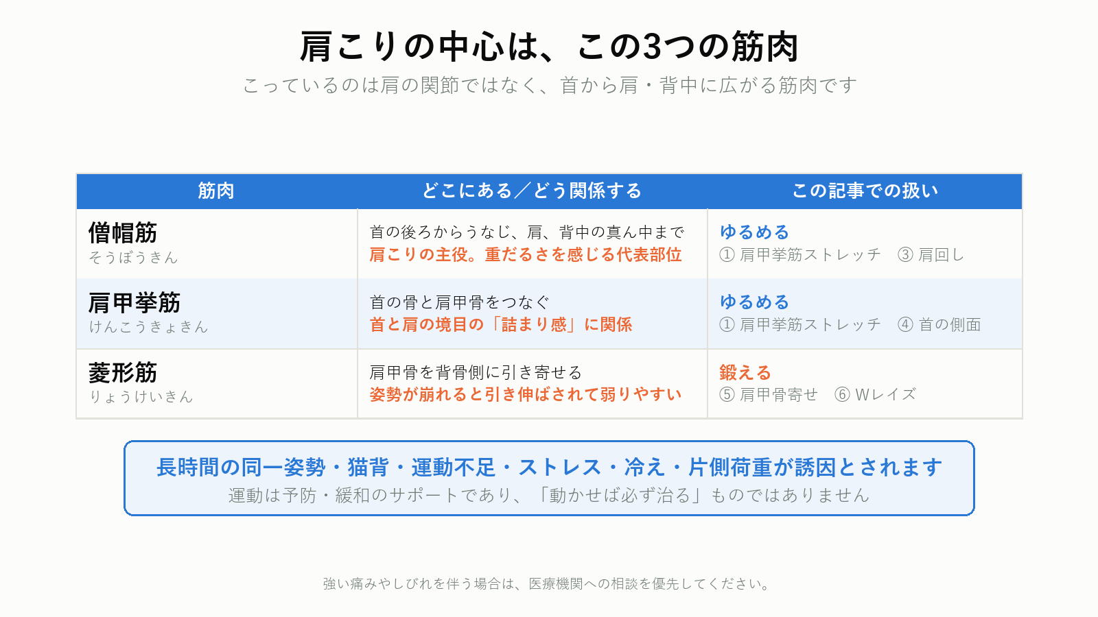 肩こりの中心になる3つの筋肉
