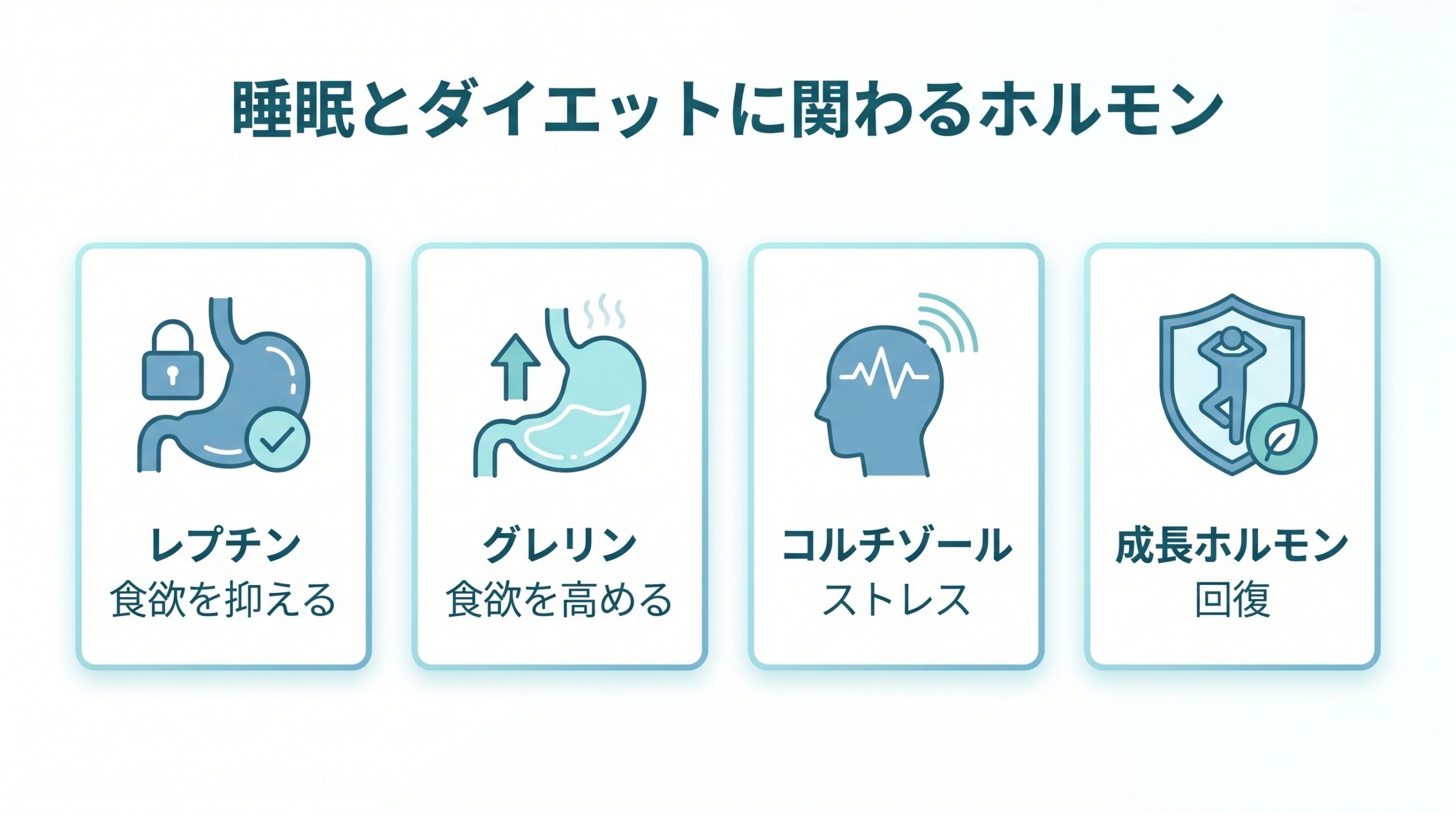 睡眠とダイエットに関わるホルモン図解