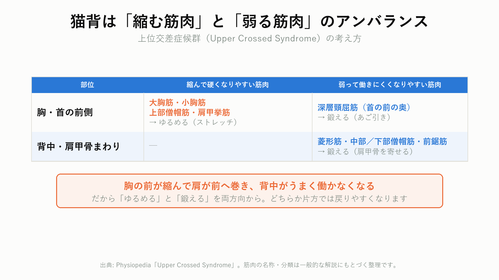 上位交差症候群における縮む筋肉と弱る筋肉