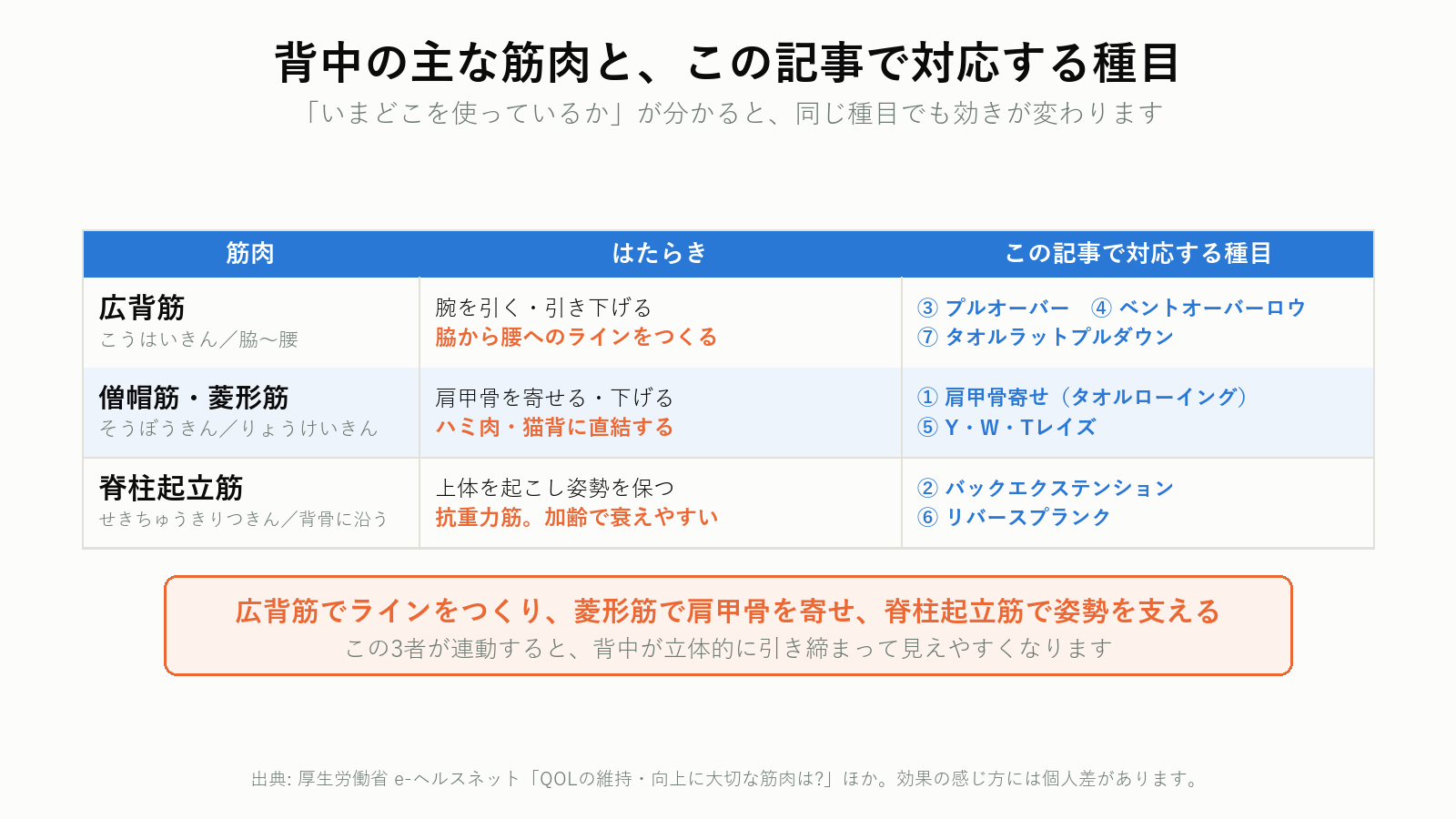 背中の主な筋肉とはたらきの一覧
