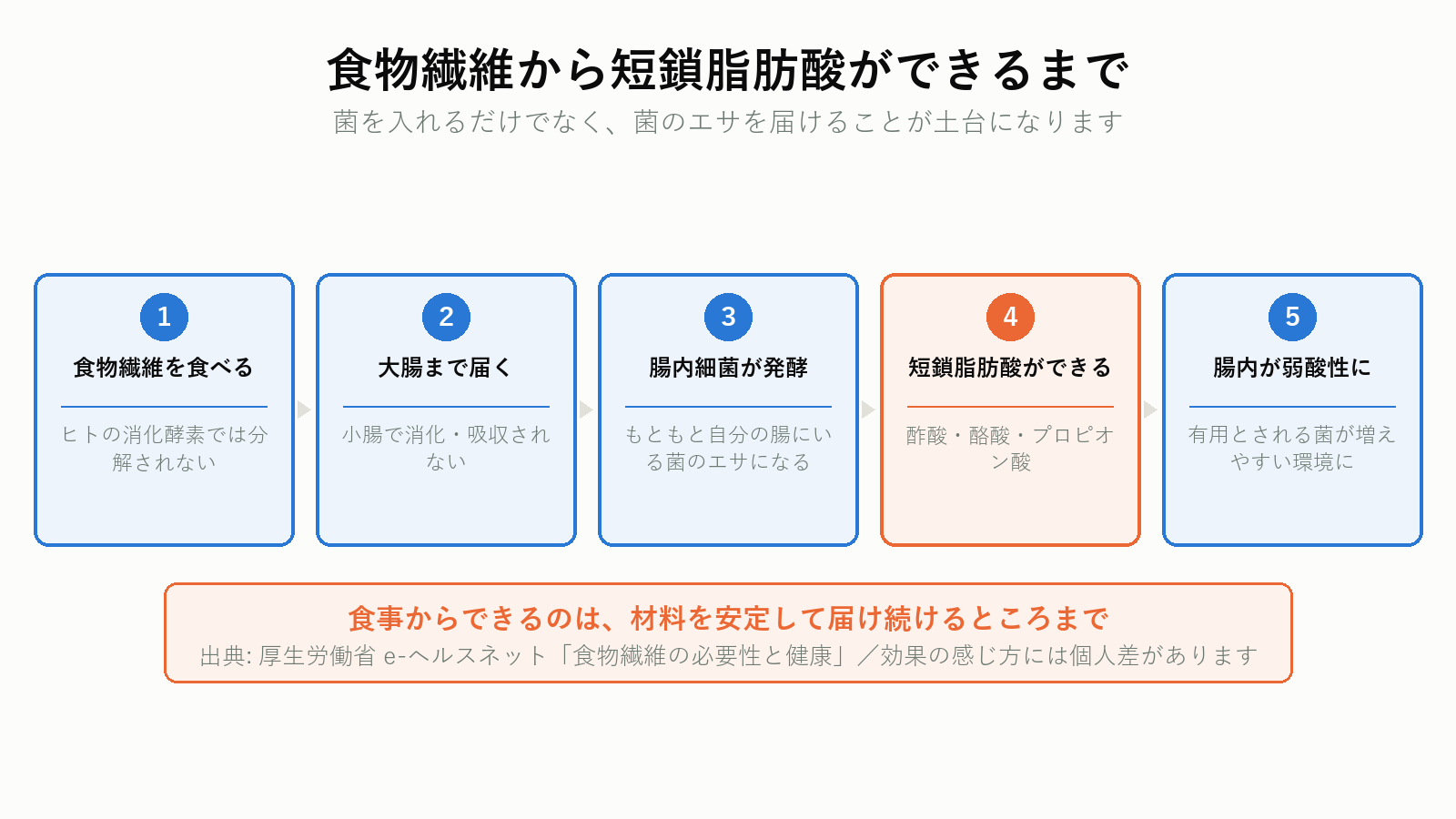 食物繊維から短鎖脂肪酸が作られるしくみ