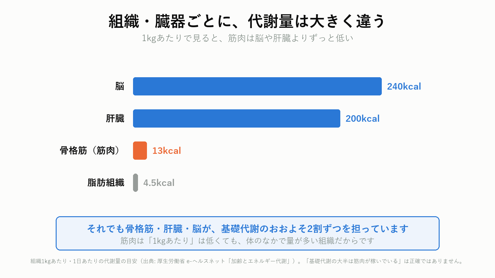 組織・臓器ごとの1kgあたりの代謝量
