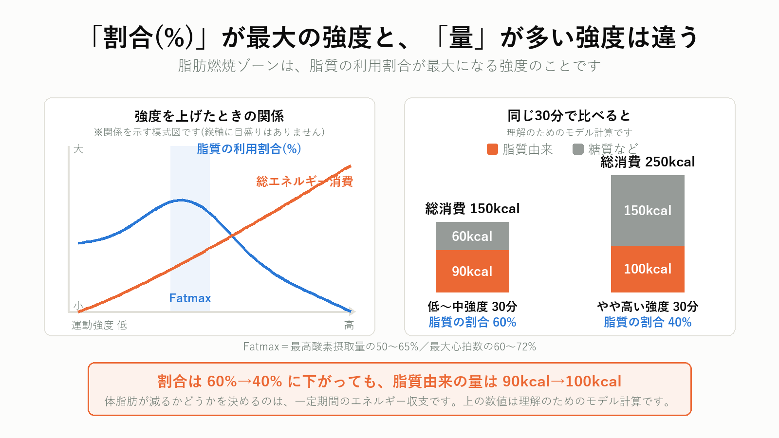 運動強度と脂肪燃焼の割合・絶対量の関係