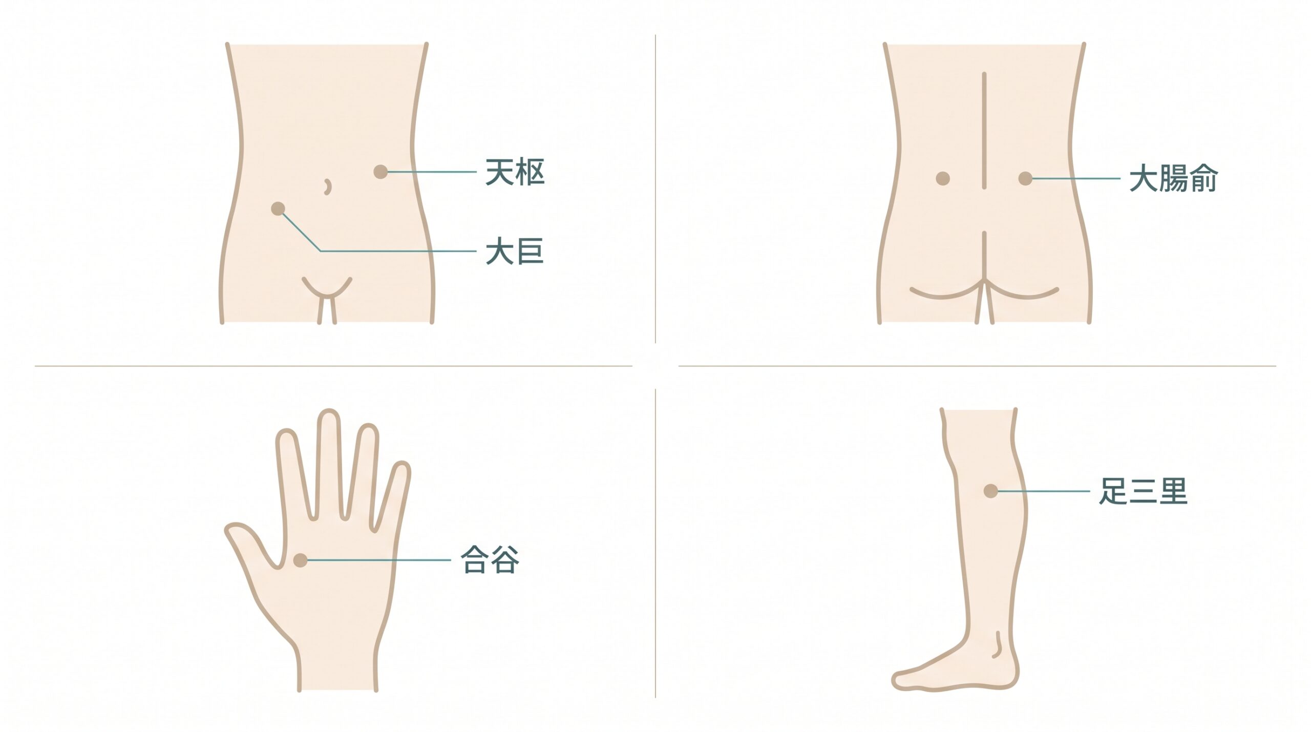 大腸の走行に沿った「の」の字マッサージの手順