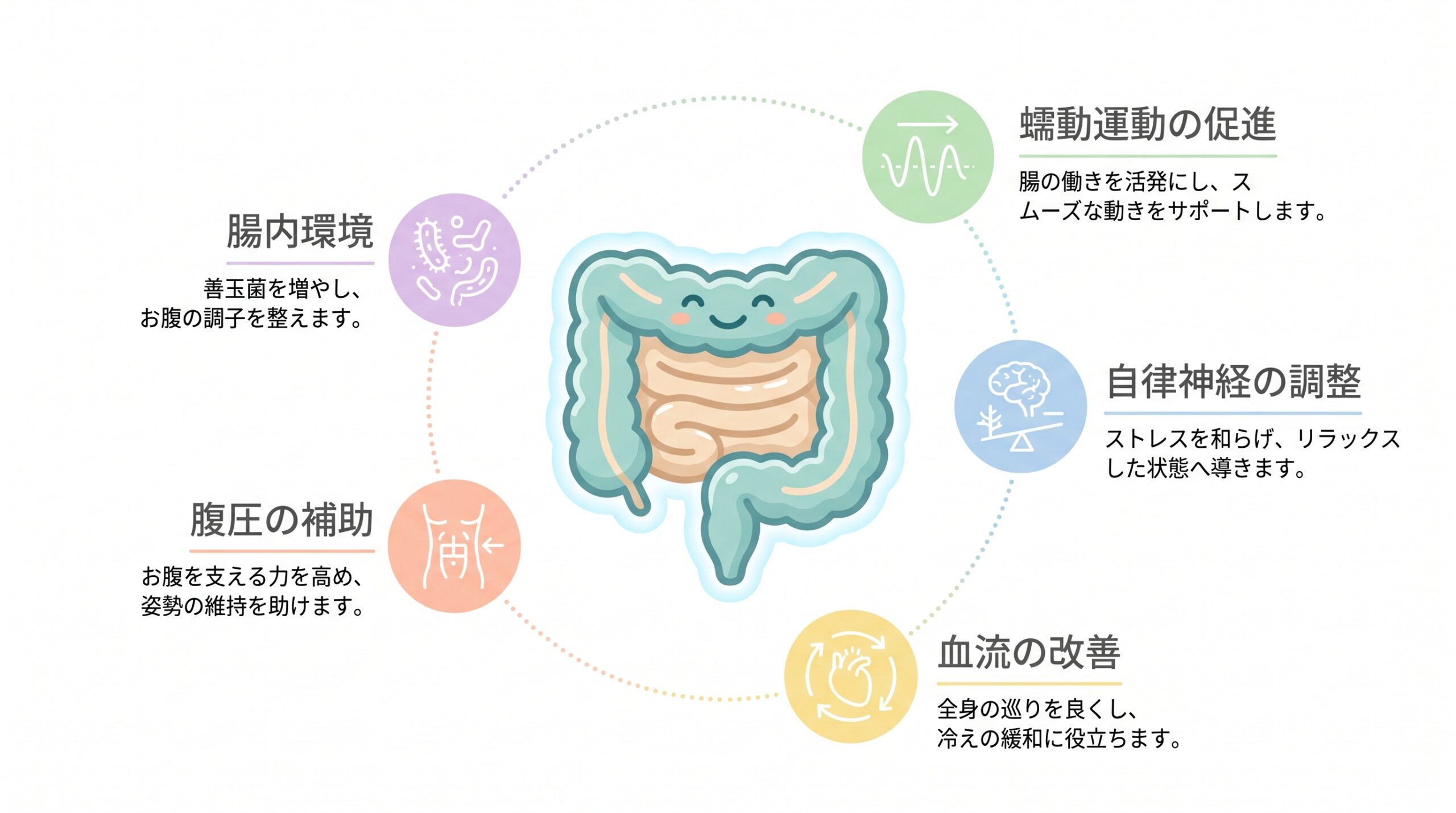 運動が便秘に効く5つの理由の図解