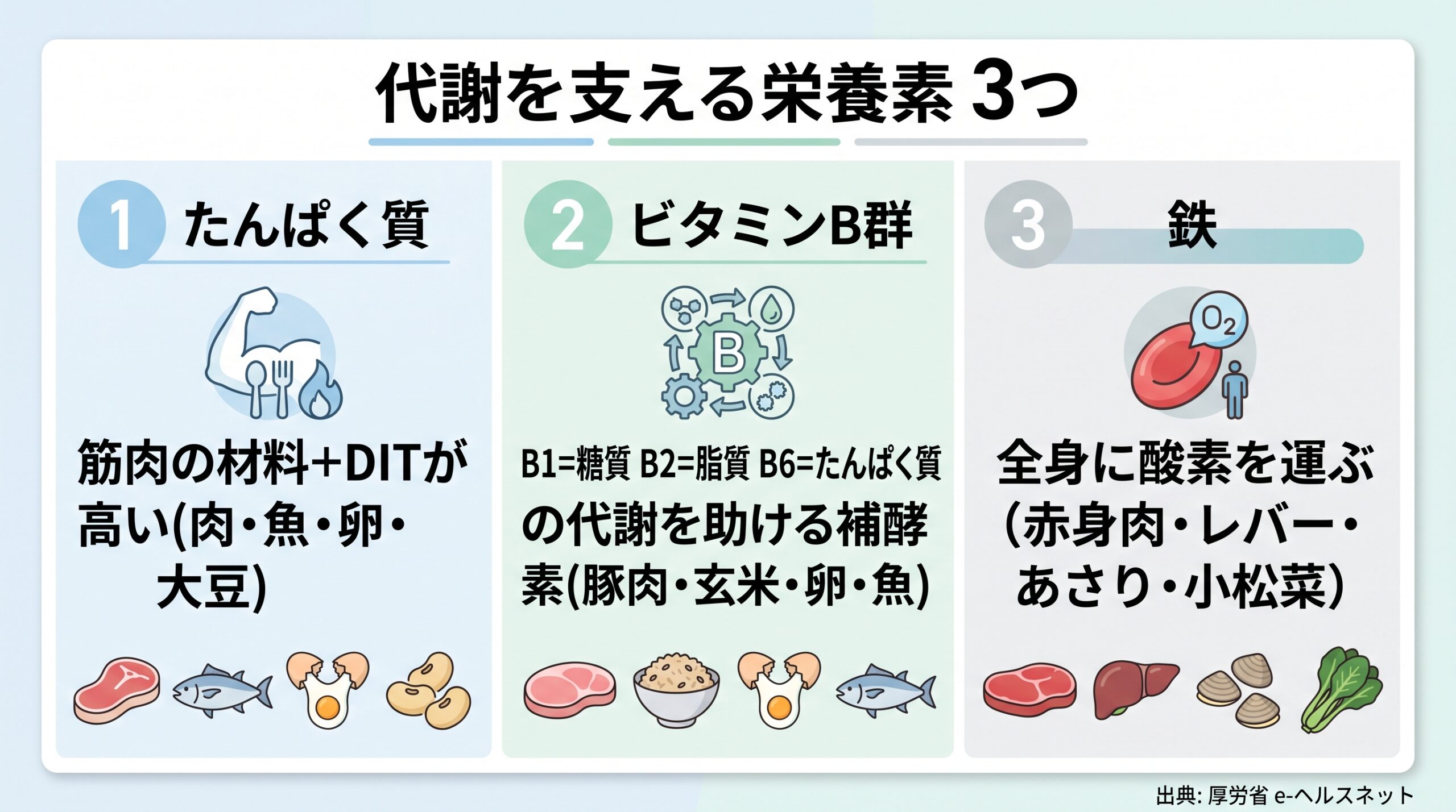 代謝を支える栄養素3つとその働きを示す図解
