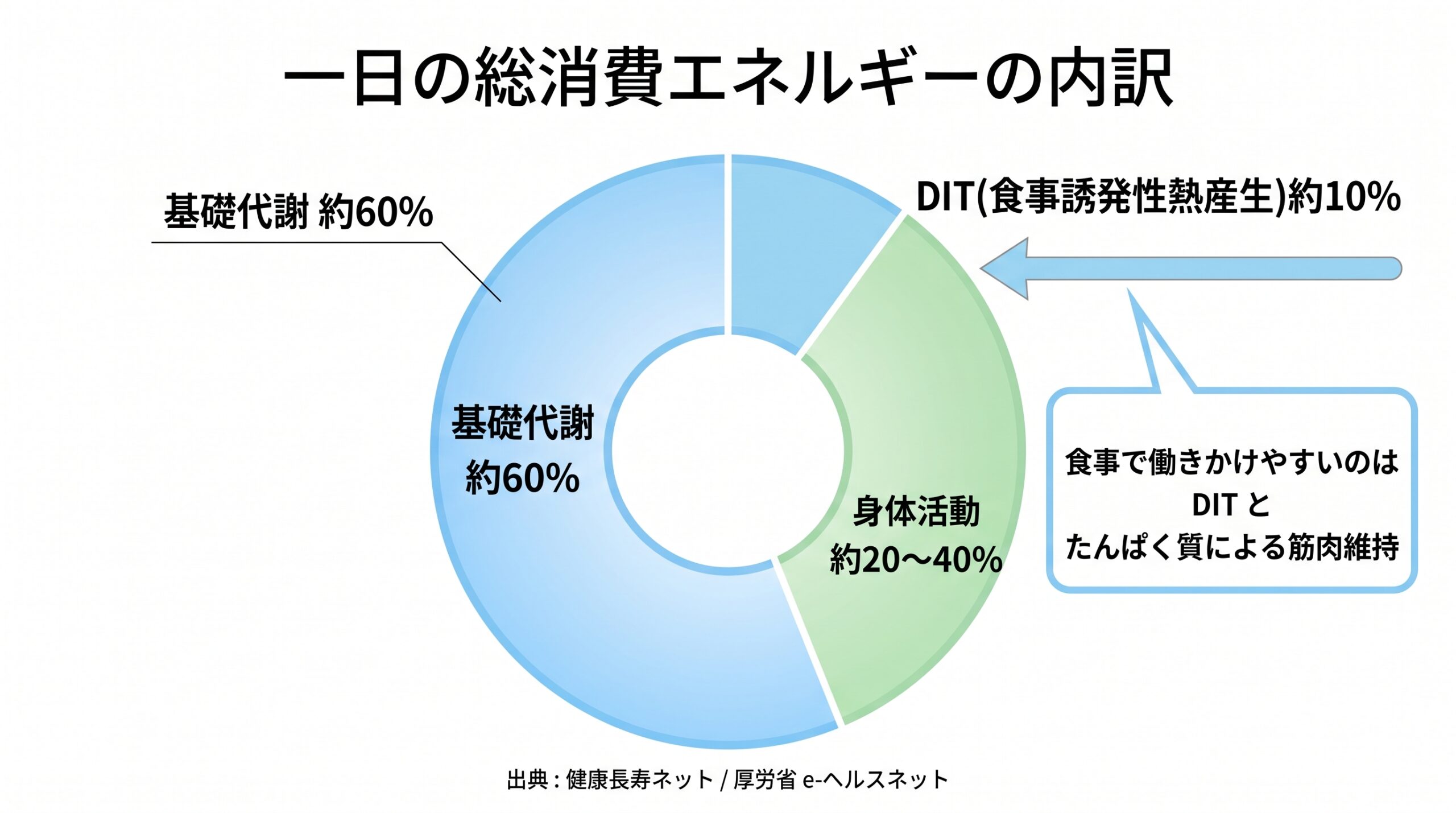 一日の総消費エネルギーの内訳と食事が効く部分を示す図解